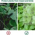 5 Packs Of Garden Plant Protection Nets with Rope, Tomato Protective Cover Garden Plant Isolation Bags for Vegetable. 
