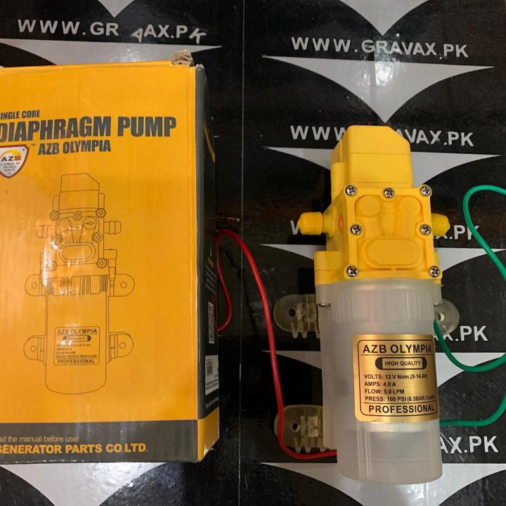 Mist pump Micro Diaphragm Pump Small Type 12v 4A  5 LPM Pump Water Pump Booster Pump High-Pressure Spray Pump Sea Water Pump