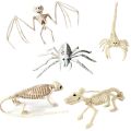 Lizard Horror Bat Party Mouse Home Animal Skeleton Artificial skull Trick Props Plastic Bones. 