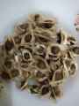 Pack of 10 Moringa Seeds Sohanjna Tree Seeds Plant Flower. 