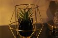 Modern Decorative Porcelain Flower Vase Metal Cage with Artificial Plant. 