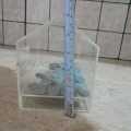 Gala Box Money Saving Box. 