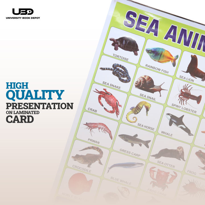 Sea%20Animals%20Wall%20charts%20For%20classroom%20%7C%20High%20Quality%20Sea%20Animals%20Chart%20on%20200%20grams%20Laminated%20Card%20%7C%20Preschool%20Decoration%20-%20Image%205