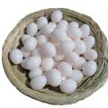 (10/15/24 Pcs) Light Weight Plastic Eggs Shell for Broody Hen Training  - Dummy Hollow Artificial Egg Shell. 