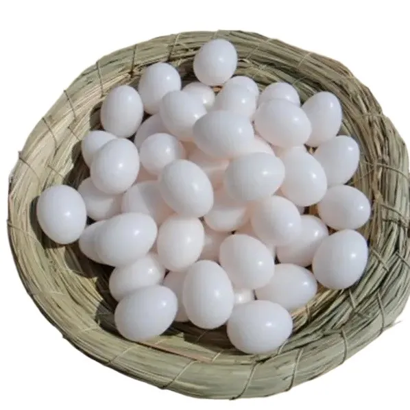 (10/15/24%20Pcs)%20Light%20Weight%20Plastic%20Eggs%20Shell%20for%20Broody%20Hen%20Training%20%20-%20Dummy%20Hollow%20Artificial%20Egg%20Shell%20-%20Image%202