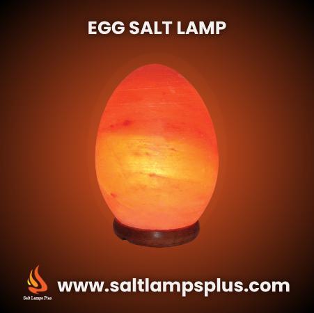 Egg Shape Natural Himalayan USB Salt Lamp