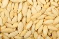 0.5 KG Pumpkin yellow seeds (Kaadu beej). 