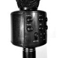 Amplifier Microphone Speaker, Built-in Speaker, Echo Sound for Teaching and Recording. 