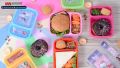 Student Lunch Box Small 700 ML (With Two Portions) For School. 