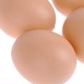 Pack of 12 - Realistic Chicken Eggs Toy Food Playset for Kids. 