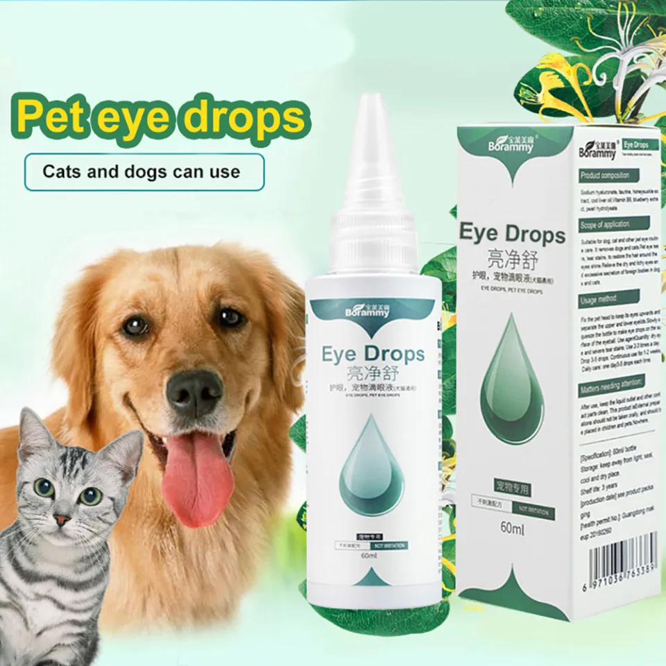 Best eye drops for cats best sale