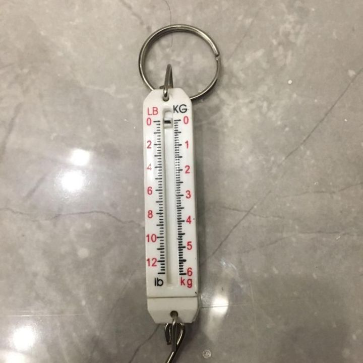 Mini Scale Key Chain 1 Piece - Portable Manual Handheld Mini Weight Scale Key Chain (6 kg ...
