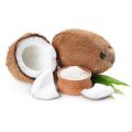 Khopra Powder - کھوپرا پاؤڈر  (Dry Coconut Powder) - 100 Grams. 