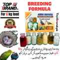 Unique Breeding Formula 6KG Feed For Parrots. 