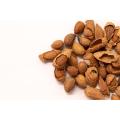 Almonds - Soft Shell - Badam - Nuts - DryFruits - Fresh & Crispy - By AliMaan's. 
