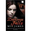 Darkness Falls: Ravenwood Mystries Series (Book 2) By mia james. 