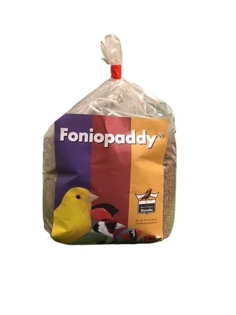 Fonio Paddy Seeds 100g (imported) for all birds