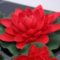 Lotus Red Flower Seed, Water lilly Red, 10 Seed pack. 