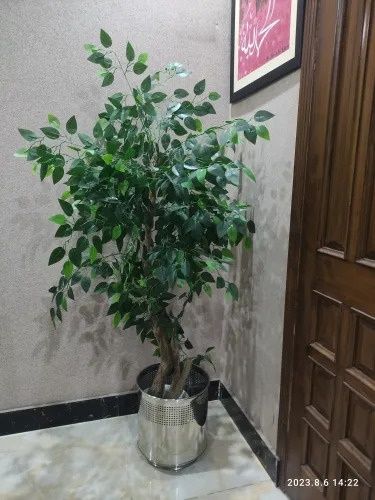 Deco.pk%20Stainless%20Steel%20magnetic%20Planters-%20SS%20Planter%20Plant%20Silver%20&%20golden%20Pots%20in%20different%20sizes%20-%20Image%202