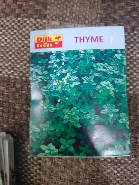 Thyme%20Herb%20Seeds%20for%20Kitchen%20Gardening%20-%20Image%202