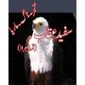 Amber Naag Mària series (Pack of 11-20)  By A Hameed. 