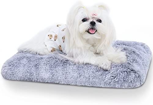 Pets%20relaxing%20Beds-%20Small%20-%20Image%202