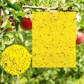 Pack 1 Sheet Aphid Trap, Double-sided Bug Fly Trap, Fly Trap Stickers, Glue Board Adhesive Traps, Yellow Sticky Insect Catcher, Fly catcher. 