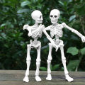 Ethereon Poseable Skeleton Model Spooky Halloween Skeleton Figurine with Movable Joints Perfect Home Office Desktop Decoration for Halloween Skeleton Decoration. 