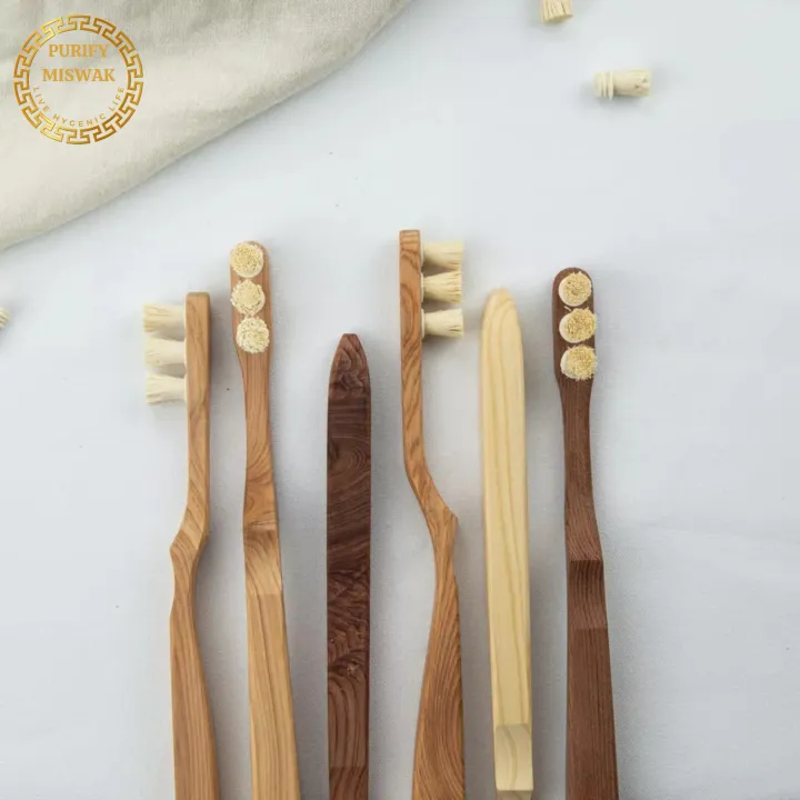 Purify%20Miswak%20Kit%20-%20%20Miswak%20Brush,%20%20Miswak%20Powder,%20&%209%20Replaceable%20Heads%20-%20100%25%20Natural%20Peelu%20Miswak%20Toothbrush%20%7C%20Natural%20Toothbrush%20%7C%20Miswak%20Toothbrush%20%7C%20Best%20for%20Kids,%20Men,%20and%20Women%20%7C%20Perfect%20for%20Gifting%20-%20Image%205