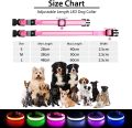 Pumila LED Rechargeable Dog Collar  Waterproof Glow in the Dark Dog Collar Flashing Light Collar. 