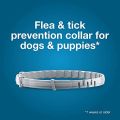 Original Seresto Flea & Tick Treatment & Prevention Collar For Dogs Cats,safe Natural Ingredient Protection For Months, Waterproof. 
