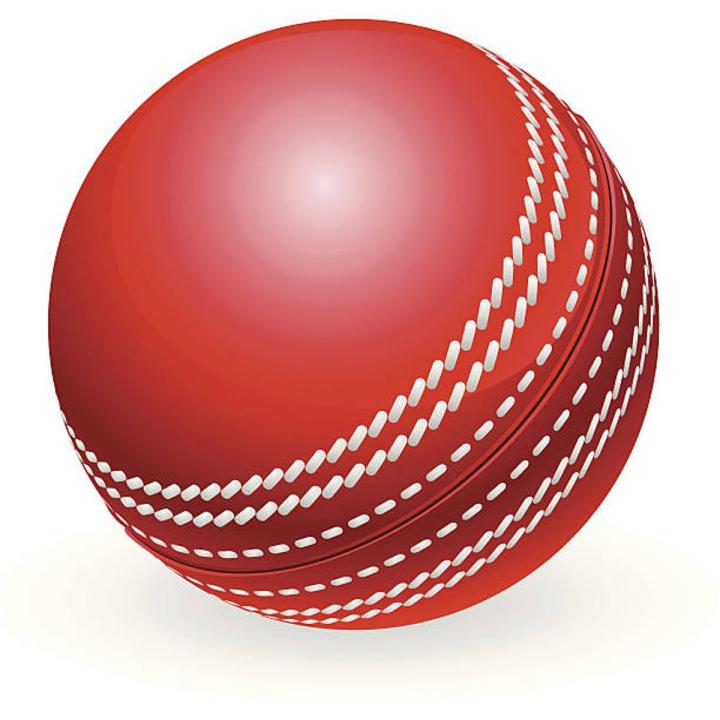 Sports%20Soft%20Indoor%20Rubber%20practice%20ball%20Cricket%20Ball%20Practice%20Ball%20-%20Image%202