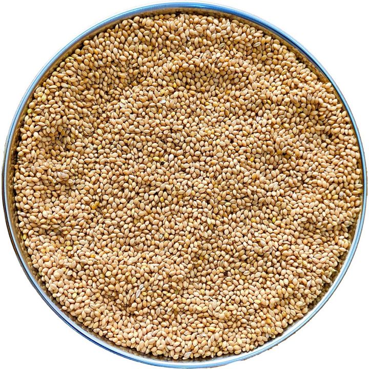 Millet Seeds (Bareekh Kangni) (1 Kg)