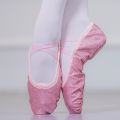 Blue / pink Girls Ballet Shoes Girls Ballet flats Gym Slippers Children Women Ballet Dance Shoes size 23-42. 