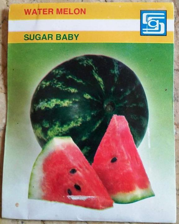 Water%20Melon%20(Sugar%20Baby)%20-%20Image%203