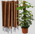 Pack Of 1, 2 And 3 Plant Stick (3 Ft) Straightener For Climbing Indoor Plants / Money Plants. 
