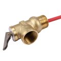 WYA-20 99C 101 PSI 210F WYA-20 0.7Mpa to Valve BSP 3/4 Inch Temperature and Pressure Relief Valve As TP Safety Valve. 