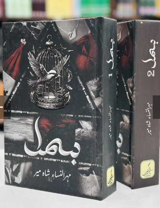 bismil%20novel%20by%20mehrunisa%20shameer%20-%20Image%203