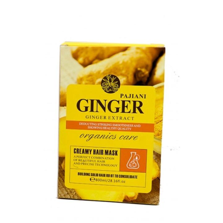 PAJIANI Ginger Organics Care Creamy Hair Mask 800ml