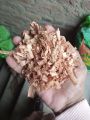 Wood Shave (Lakri ka bura) 1kg. 
