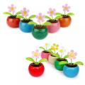 Premium Quality Car Decoration Solar Powered Dancing Flower Swinging Animated Dancer Toy For Honda Civic, City, Toyota GLI, Yaris, Wagon R, Alto VXR, Mehran and all Cars Jeep Buses Vans Parrado. 