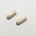100 % Original Netural White Coral Marjan Gemstone 6.0 crt ± 1crt Nelam For Ring Men,Bracelet,Pendant. 
