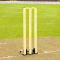 Wooden Cricket Wickets with Bails and Spring Base Stand For Hardball Cricket.. 