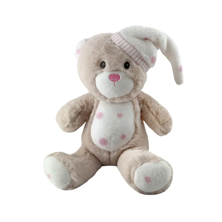 Pink Sleepy Bear – Teddy Bear and Blanket Set 75cm x 100cm | Daraz.pk
