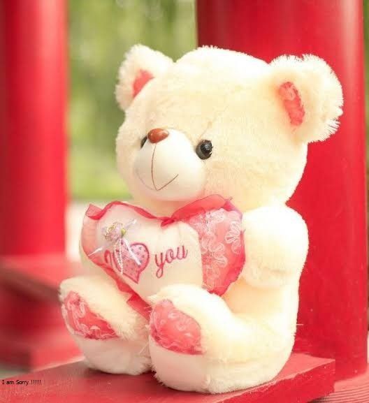 Cute%20Teddy%20Bear%20Stuff%20Toy%20-%2010%20Inches%20-%20Image%203