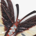 Livecity Butterfly Metal Ornament Beautiful Decorative Stable Metal Butterfly Wall Decor Art Sculpture Hanging Ornament for Outdoor. 