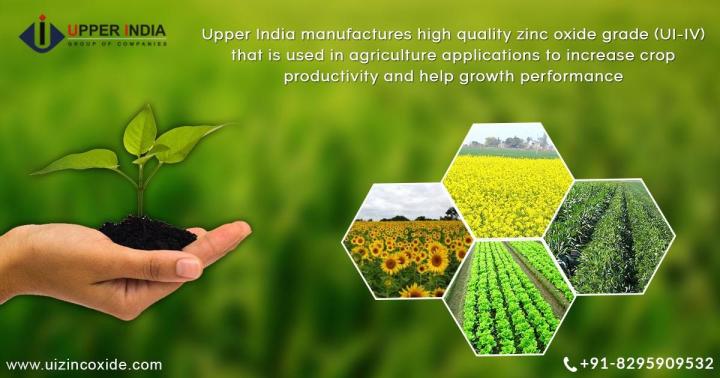 Calcium%20Nitrate,%20Water%20soluble%20fertilizer%20250gram%20-%20Image%202