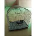 Cage for ringneck, austrailian parrots/bajri,. 