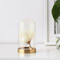 IKEA Glass Dome with Base Display Glass Dome Height 19 cm. 