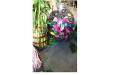 Multi Color Potpourri Flowers for Home Decor/Potpourri Leaves Without Fragrance only for Potpourri Decoration | Multi Color Potpourri 1000 Leaves for Indoor Outdoor Decoration | Artificial Colored Flowers Petals Pack. 
